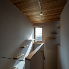 猫と暮らす家（2025.11／東京都昭島市)